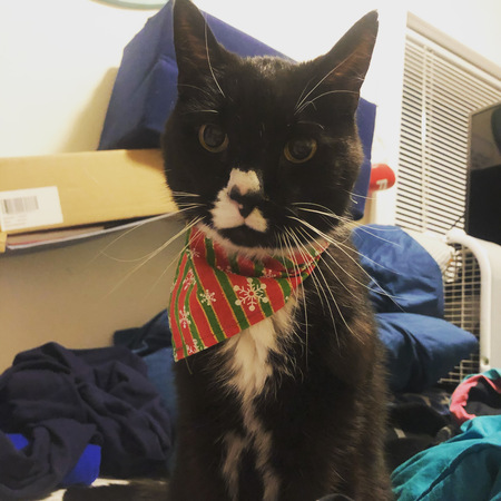 Jean Ralphio