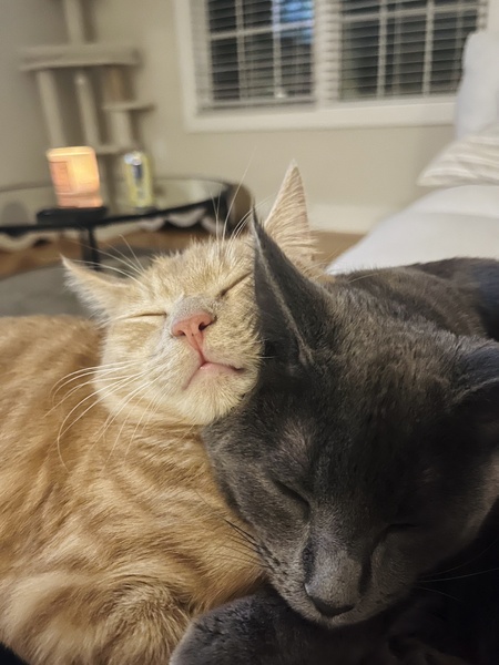 Charlie & Scout