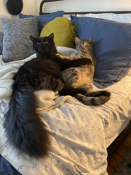 Mazzy & Mooni