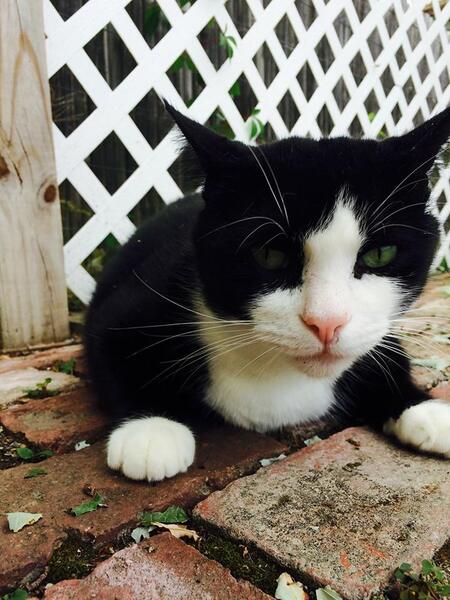 O'Malley 