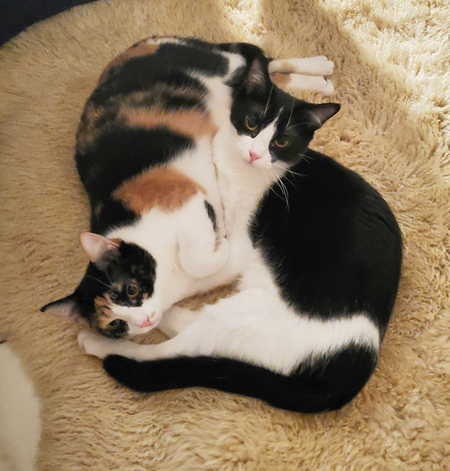 Freya and Zuko