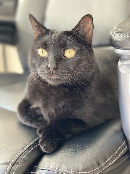 Abby
