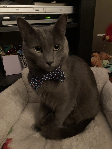 Gary