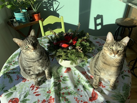 Mia and Bowie