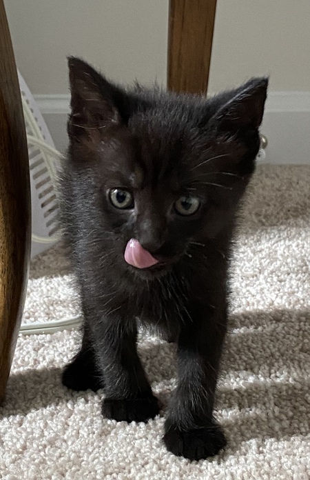 Binx