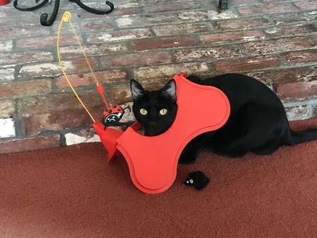 LUNA