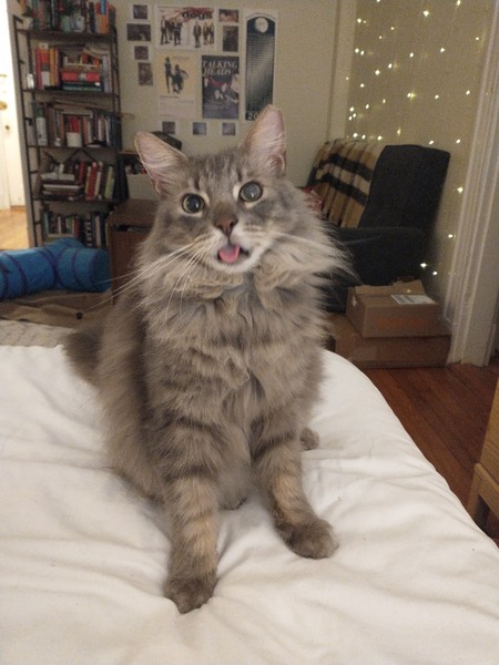 Bootsy