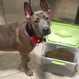 Entry image for Hannah