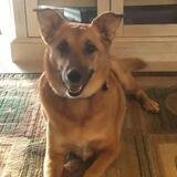 Entry image for Gracie Mae