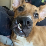 Entry image for Olivia