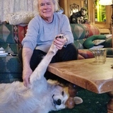 Entry image for Khaleesi 