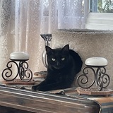 Entry image for Joisie