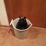 Entry image for Inkie