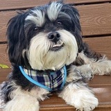 Entry image for Capt. Max