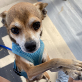 Entry image for Hurley