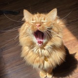 Entry image for Loki