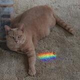 Entry image for Sunny