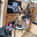 Entry image for Berlin