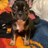 Entry image for Juliette 