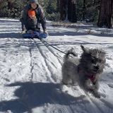 Entry image for Winnie