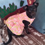 Entry image for Ms. Mousekewitz