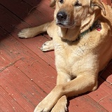 Entry image for Rufus George