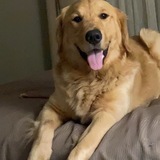 Entry image for Sammy George 