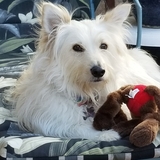 Entry image for Sherman