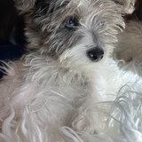 Entry image for Skye