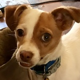 Entry image for Cooper 