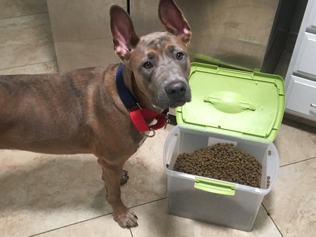 Entry image for Hannah. Clicking this image will show a larger photo