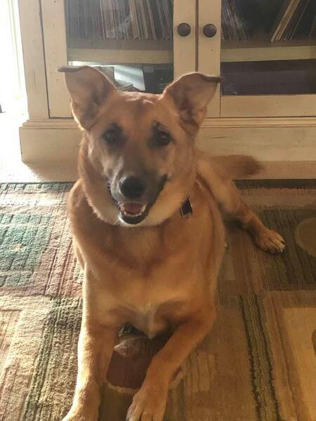 Entry image for Gracie Mae. Clicking this image will show a larger photo