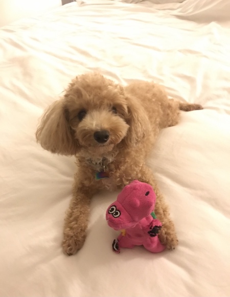 Entry image for Nutella. Clicking this image will show a larger photo