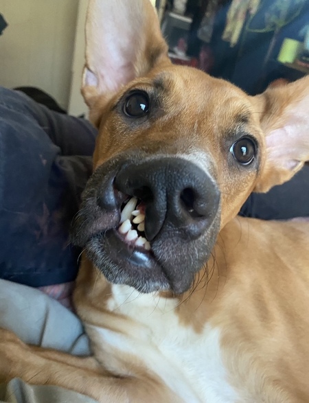 Entry image for Olivia. Clicking this image will show a larger photo