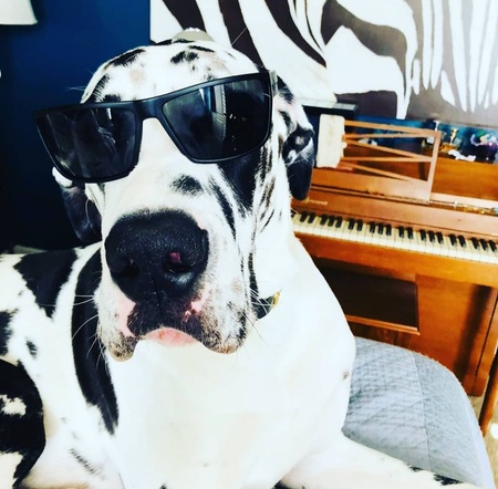 Entry image for Lil Moo Cow. Clicking this image will show a larger photo