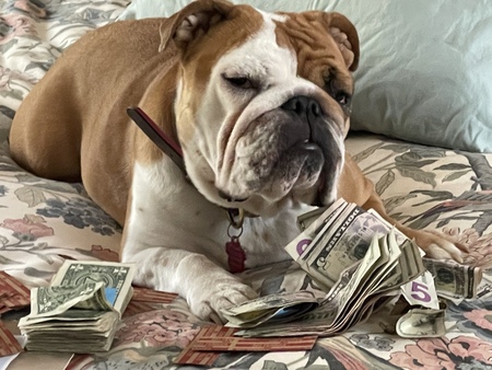 Entry image for Sophie. Clicking this image will show a larger photo