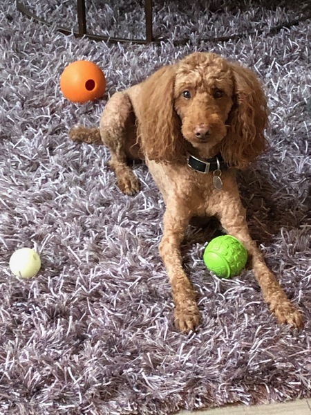 Entry image for Canyon. Clicking this image will show a larger photo