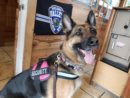 Entry image for Berlin. Clicking this image will show a larger photo