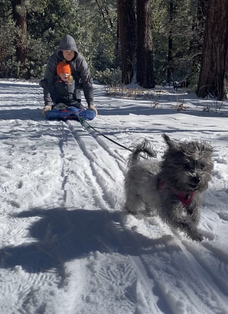 Entry image for Winnie. Clicking this image will show a larger photo