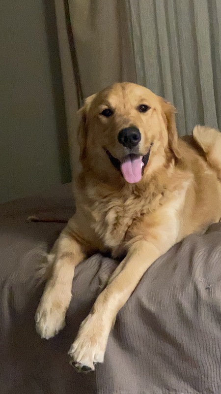 Entry image for Sammy George . Clicking this image will show a larger photo