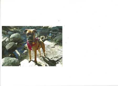 Entry image for Ali. Clicking this image will show a larger photo