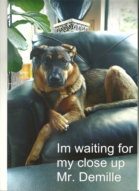 Entry image for Cher. Clicking this image will show a larger photo