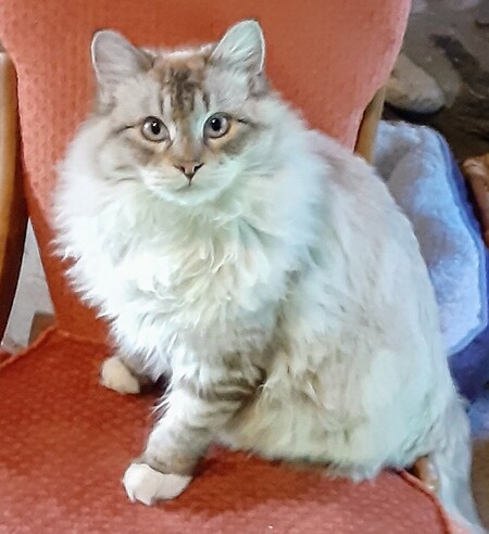 Entry image for Natalia. Clicking this image will show a larger photo