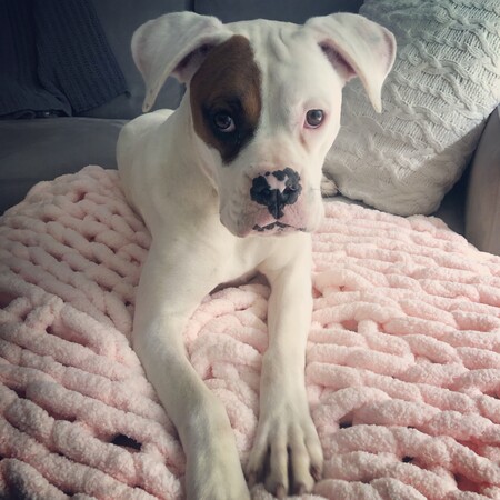 Emmy Grace