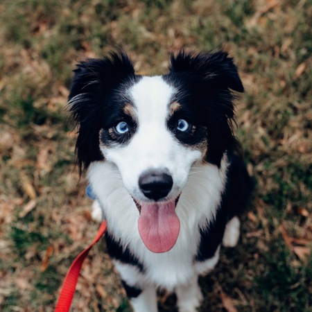 bErNie