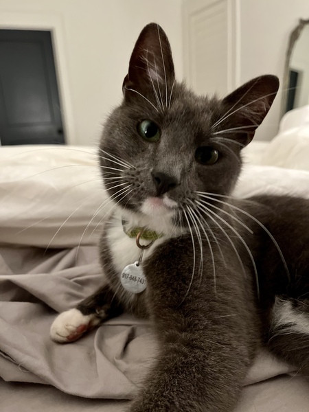 Audrey