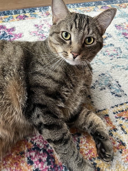 Erik