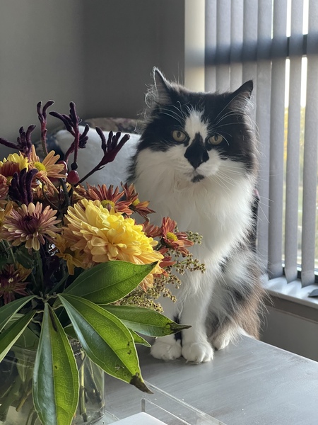 Leo