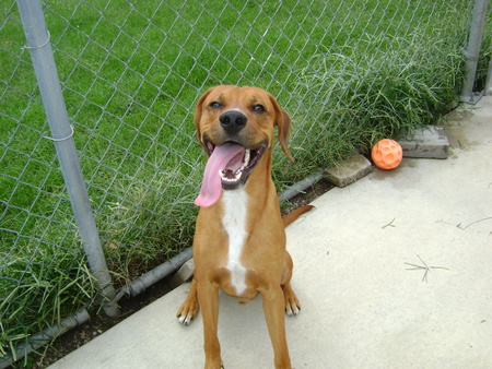 Max