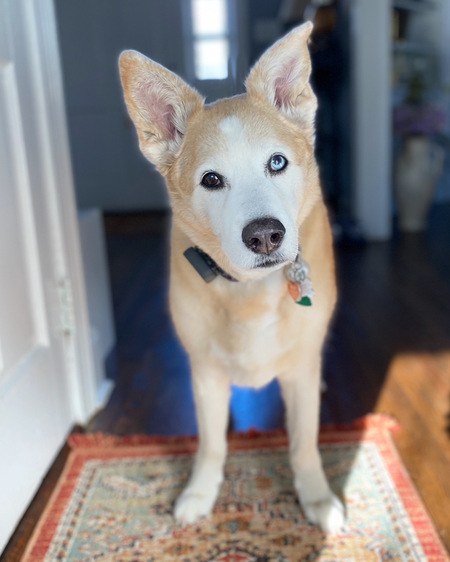 Bella